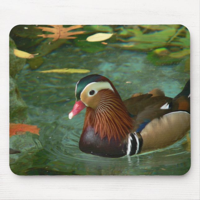 Duck Mousepad (Frente)