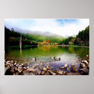 Duck Pond, Lake, Nature Wall Poster