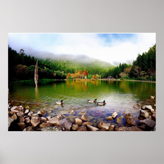 Duck Pond, Lake, Nature Wall Poster (Frente)