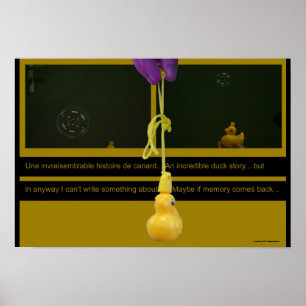 Duck Story ou Poster de história invasível