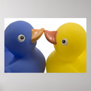 Ducks in love - poster