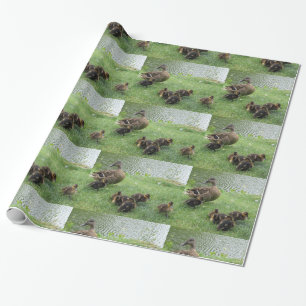 Ducks o papel de papel de embrulho