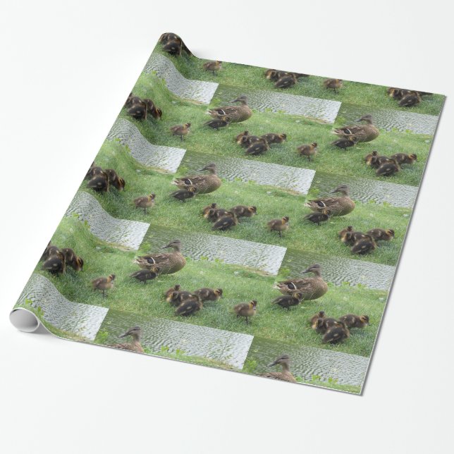 Ducks o papel de papel de embrulho (Desenrolado)