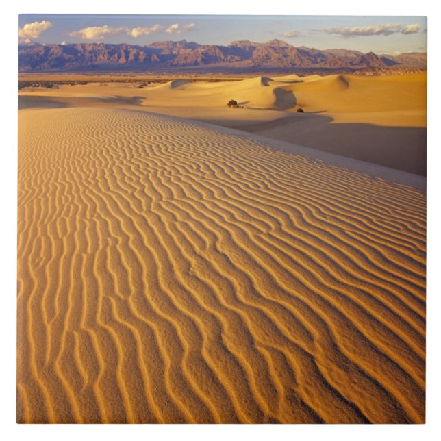 Dunas de areia Mesquite Flat em Death Valley (Frente)