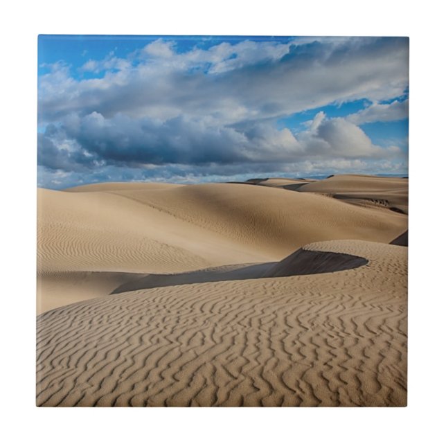 Dunas infinitas (Frente)