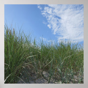 dunas, poster de areia