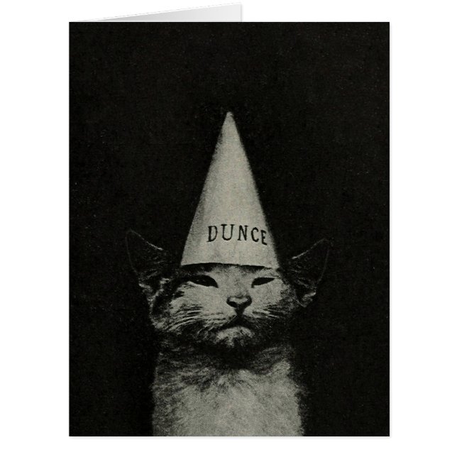 Dunce Cat - Cartão GRANDE / Convites (Frente)