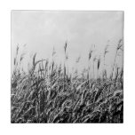 Dune Triptych III<br><div class="desc">Home Décor</div>