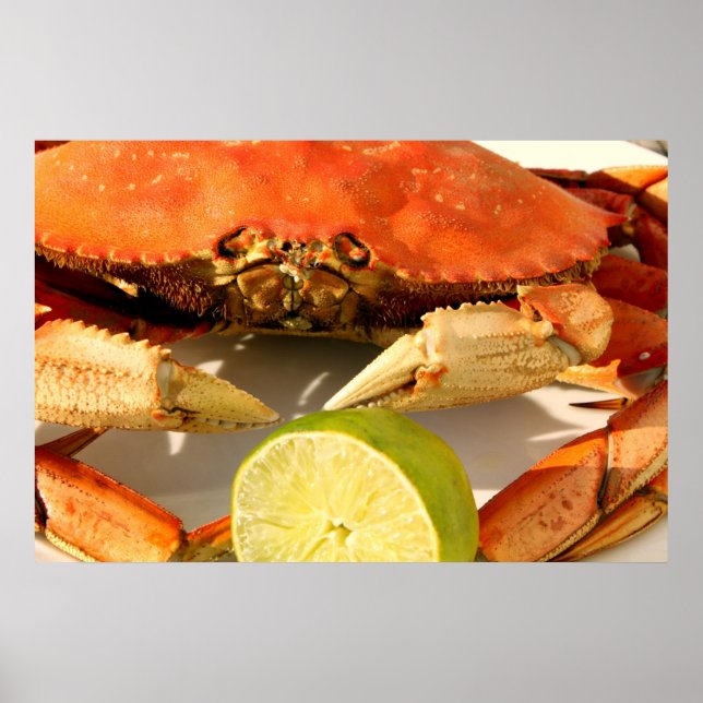 Dungeness Crab Poster (Frente)