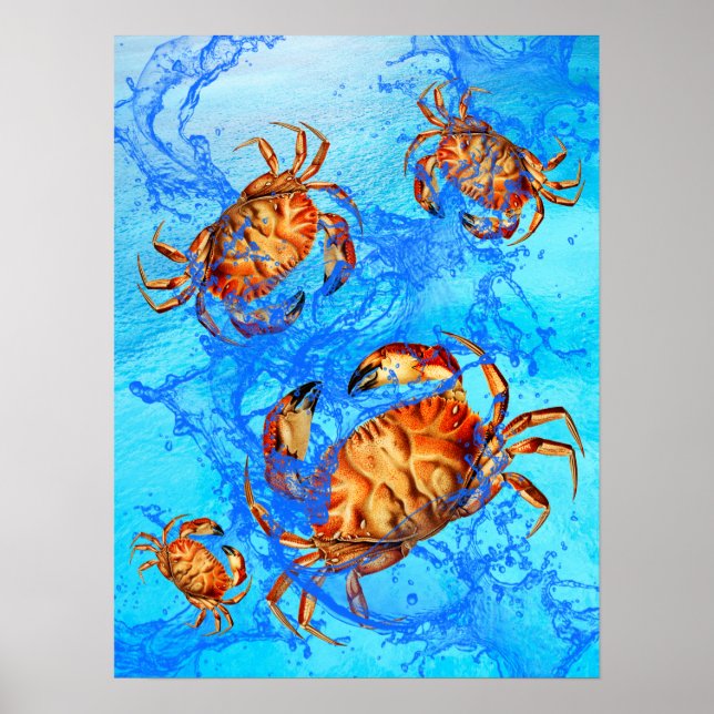 Dungeness Crabs Poster (Frente)