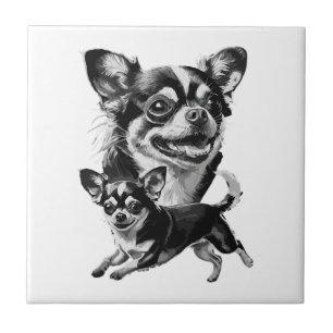 Duo de Chihuahua Encantador Pet Preto e Branco