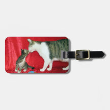 Dupree e Andy: Etiqueta de Bagagem de Gato