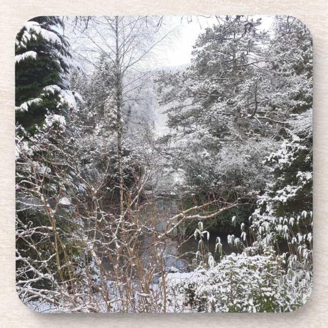 Duro de Árvores Neves Porta copos Plástico (Frente)