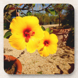 Duro de Hibiscus Amarelo Porta copos de plástico