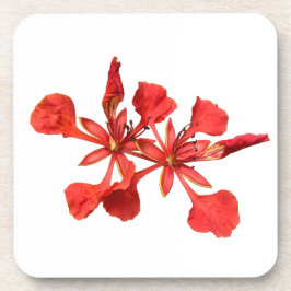 Duro de plástico porta copos Real Flor Poinciana