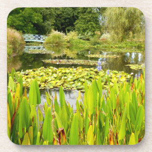 Duro Lily Pond Porta copos Plástica