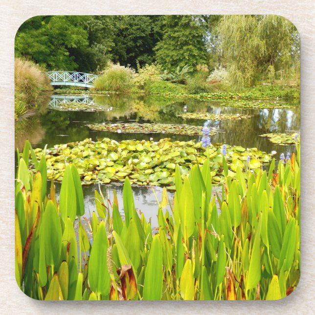 Duro Lily Pond Porta copos Plástica (Frente)