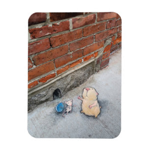 duvidando o ímã da previsão