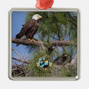 E10 E11 & ornamento do feriado da família