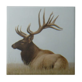 E5 Alce Macho Enorme Touro