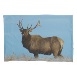 E62 Bull Elk Sky Lined