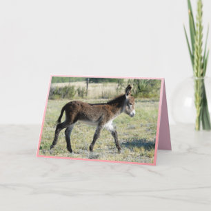 É a Garota! Cartão de saudação de burro de bebê