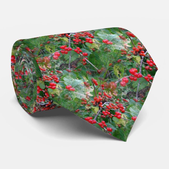 É a gravata de Berries (Rolled)