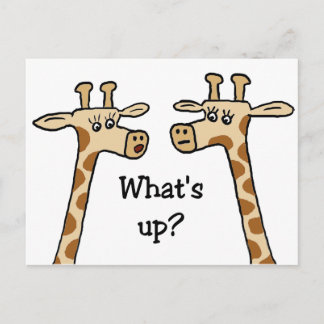 E aí? Cartões postais Giraffe