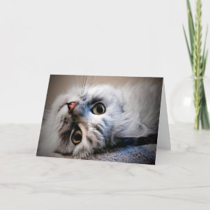 E aí?  Pensando no seu cartão