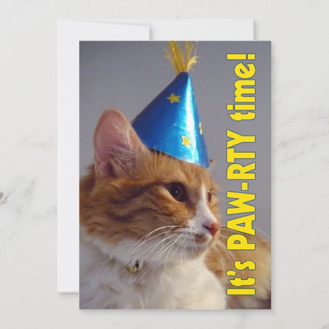 É hora da festa do gato - Convite de aniversário (Frente)