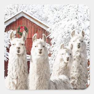 "É Natal!" Adesivos