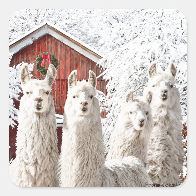 "É Natal!" Adesivos (Frente)