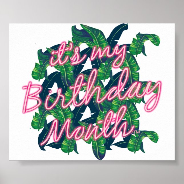 É o meu Poster de aniversário (Frente)