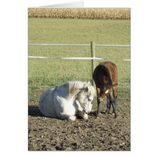 É preciso um cartão de paciência