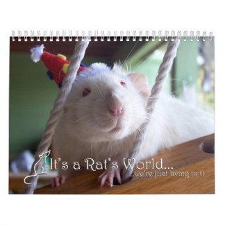 É um calendário de mundo 2016 do rato