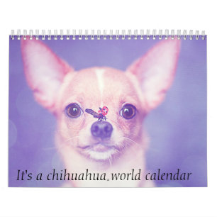 É um Calendário Mundial Chihuahua