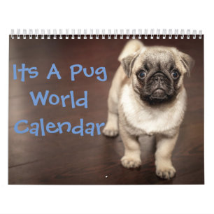É um Calendário Pug