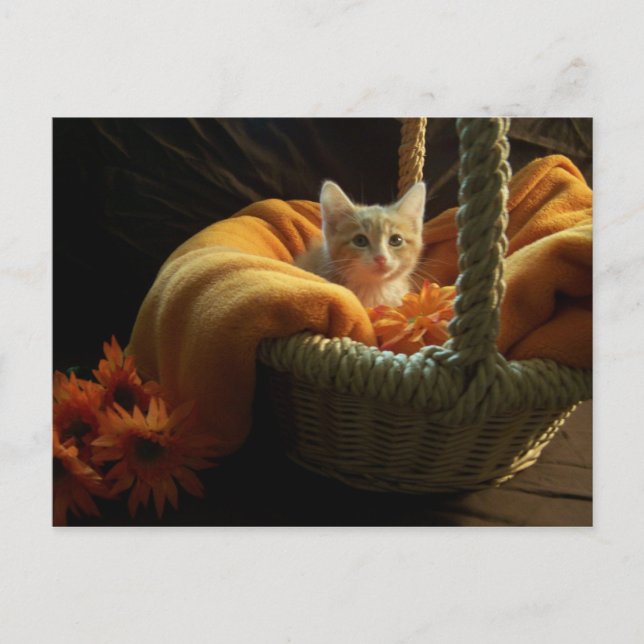 É um cartão grande do mundo (Frente)