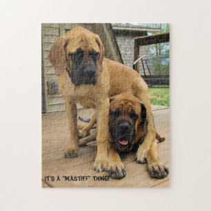 É uma coisa do "Mastiff"! Quebra-cabeça inglês