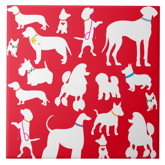 É uma vida de cães (Frente)