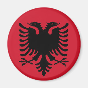 Eagle do preto da bandeira de Albânia em uma imã
