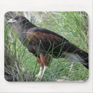 Eagle Mousepad