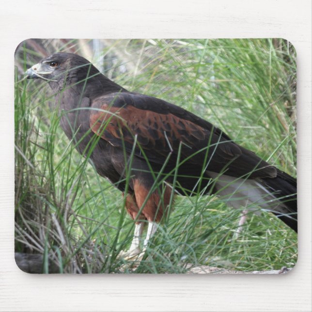 Eagle Mousepad (Frente)
