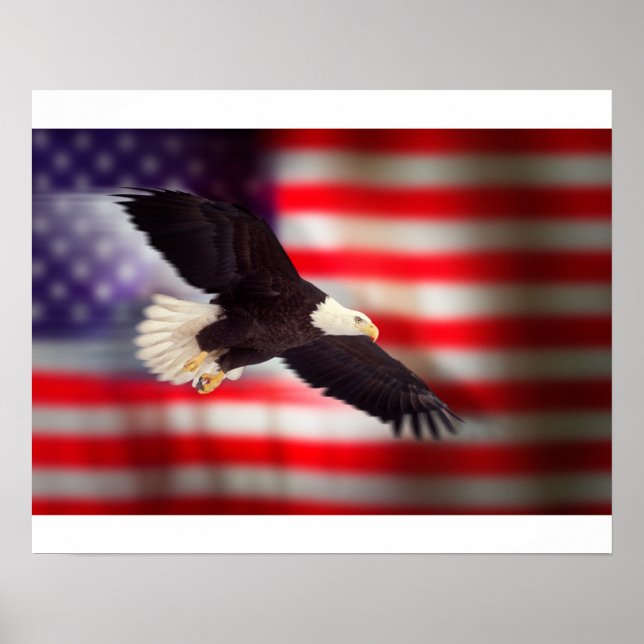 Eagle on American Flag Poster (Frente)