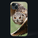 Eagle Owl Em Voo<br><div class="desc">Uma grande coruja de águia maravilhosa em voo chegando a seu hetero_x005F_x000D_ ** Nota: Pequena indefinição,  melhor em tamanhos menores © e ® Bigstock® - Todos os Direitos Reservados.</div>