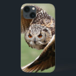 Eagle Owl Em Voo<br><div class="desc">Uma grande coruja de águia maravilhosa em voo chegando a seu hetero_x005F_x000D_ ** Nota: Pequena indefinição,  melhor em tamanhos menores © e ® Bigstock® - Todos os Direitos Reservados.</div>