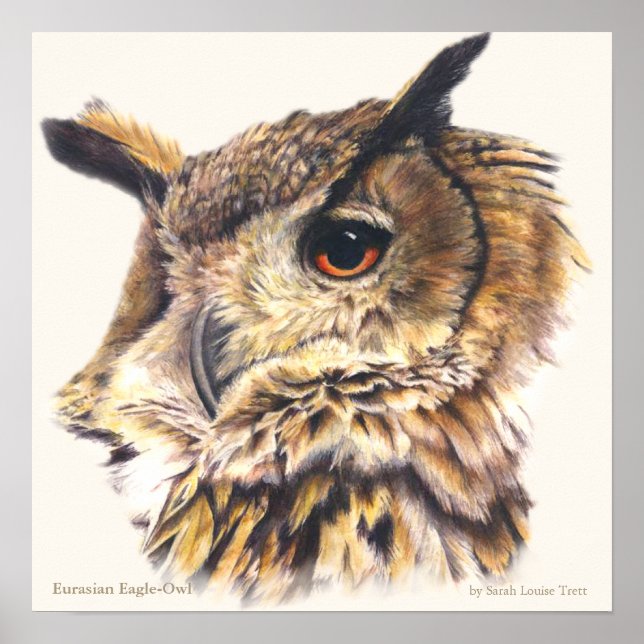 Eagle Owl Ornithological belart poster (Frente)