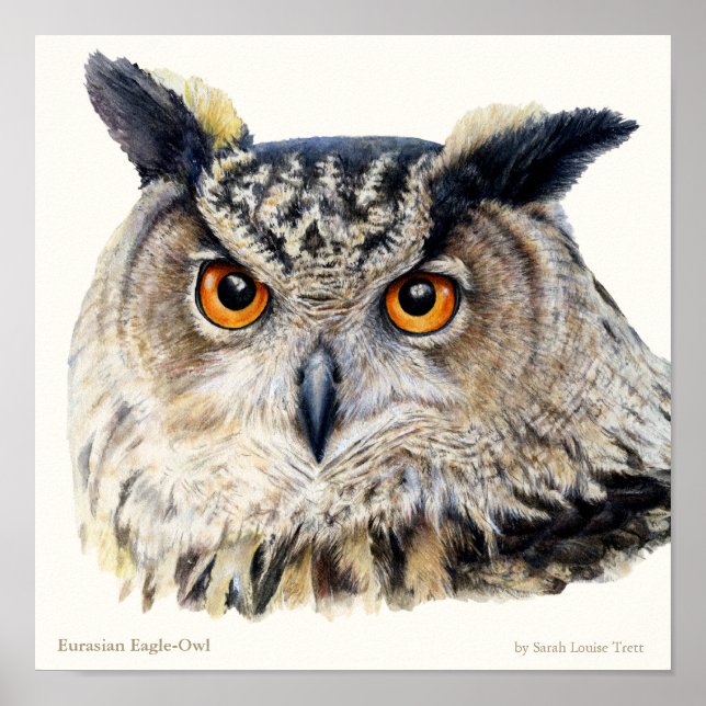 Eagle Owl Ornithological belart poster (Frente)