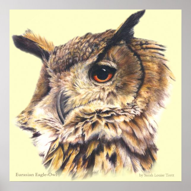 Eagle Owl Ornithological belart poster (Frente)