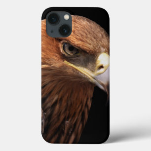 Eagle portrait isolated on black